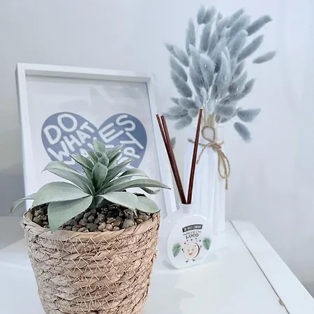 Apartamento Casa Machadinho